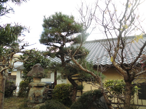 c0108198_1725463.jpg