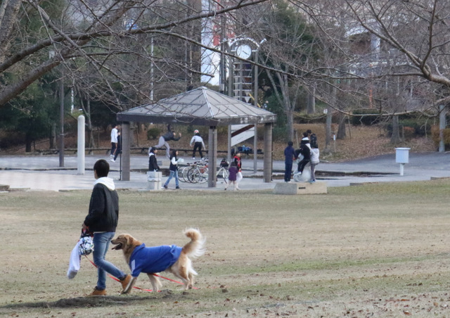 夕方の公園にて_a0260500_21443730.jpg