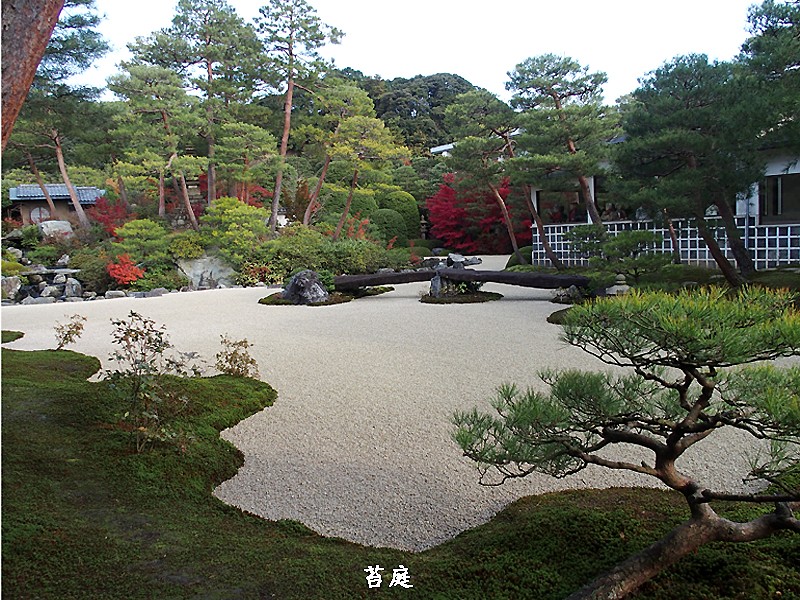 e0039703_13584328.jpg