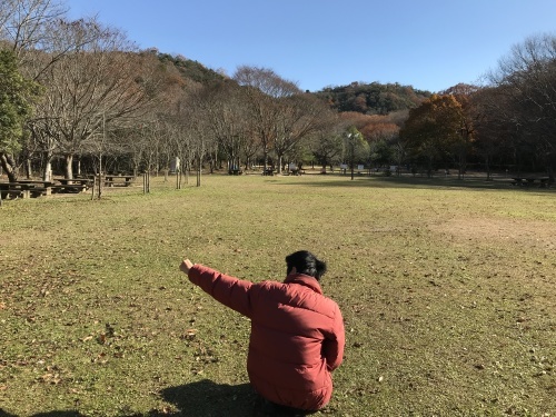 穏やかな息子に気を貰い・・・_a0346704_11332457.jpg