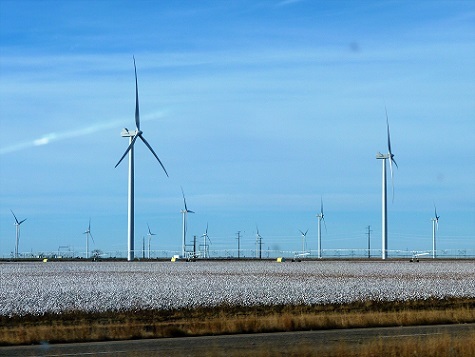a0310405_13113696.jpg