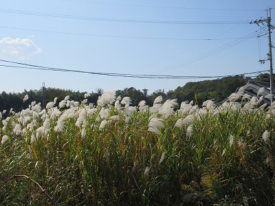 『Cymbals』@奈良県生駒市_b0143308_21492631.jpg