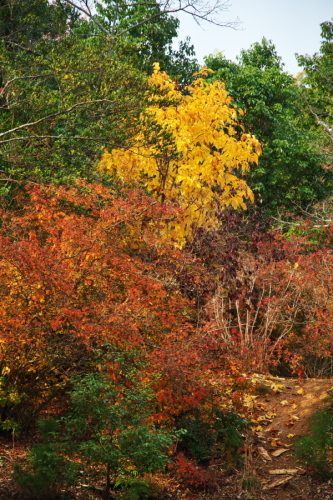 a0263109_21072996.jpg