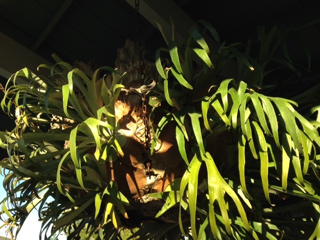 a0331910_13332585.jpg
