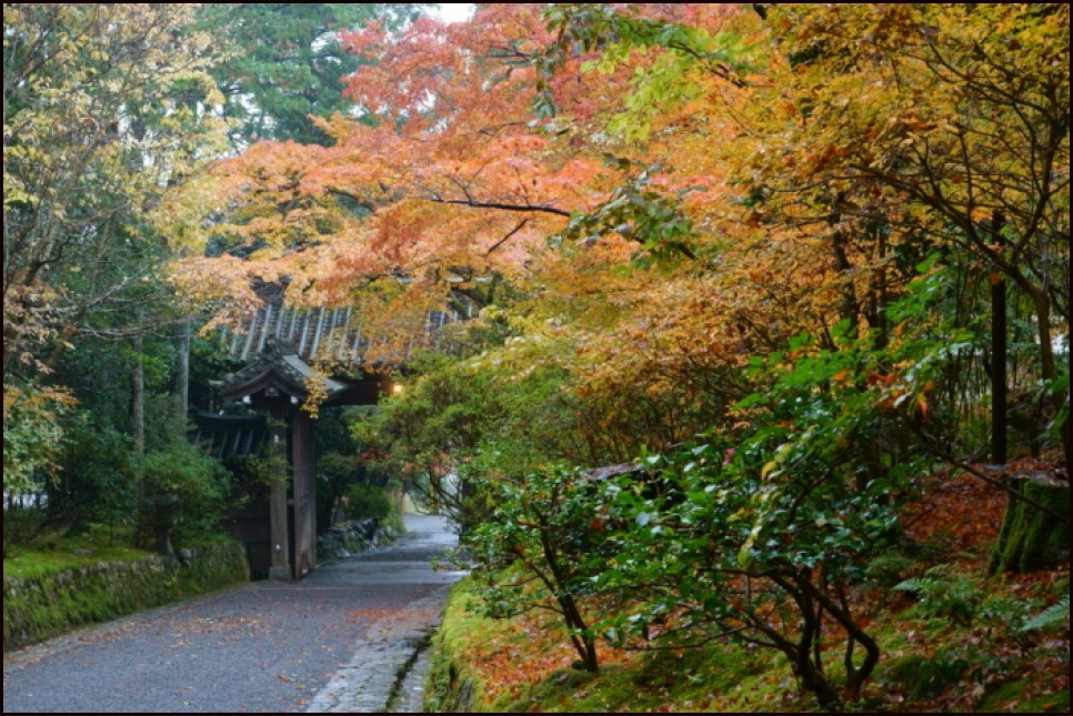 赤山禅院_e0177413_19493481.jpg