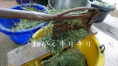 b0187620_20494705.jpg