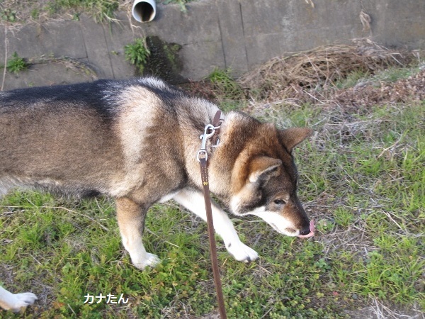 f0143123_09202166.jpg
