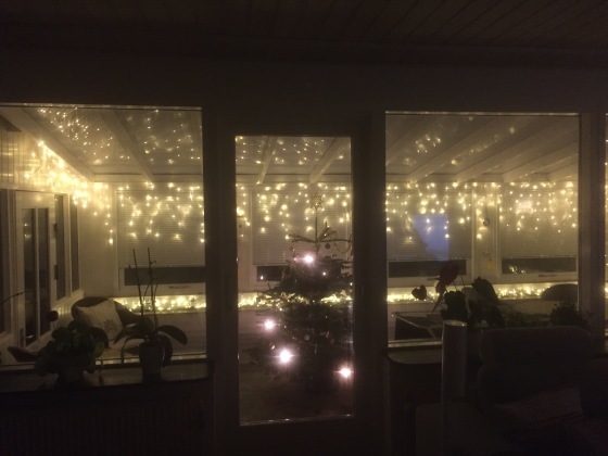 クリスマスっぽい室内_b0253226_03561856.jpg