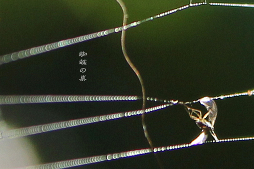 d0042827_19010133.jpg