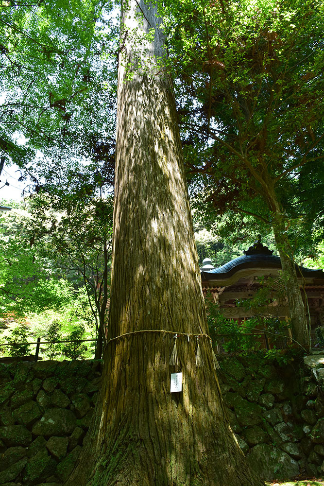 e0158128_10310436.jpg