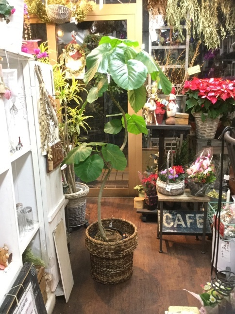 c0103830_14411547.jpeg