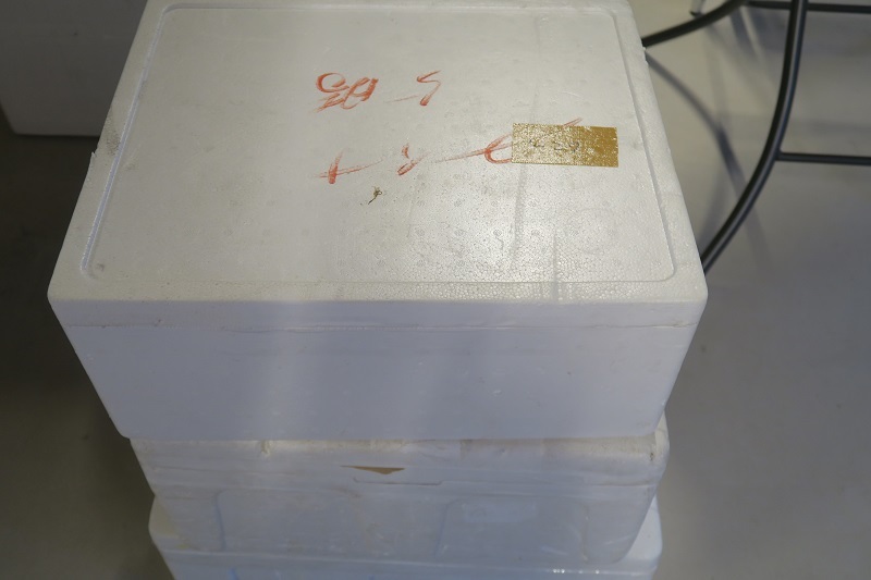 f0076731_20223203.jpg