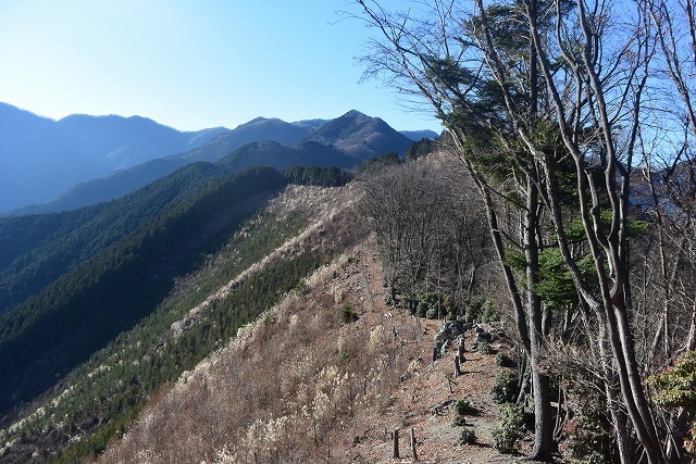 若御子山(730m)・大反山(854m)・矢岳(1358m)_b0341133_22224366.jpg