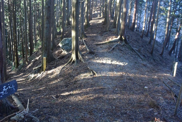 若御子山(730m)・大反山(854m)・矢岳(1358m)_b0341133_22233016.jpg