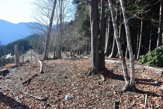 若御子山(730m)・大反山(854m)・矢岳(1358m)_b0341133_22265998.jpg