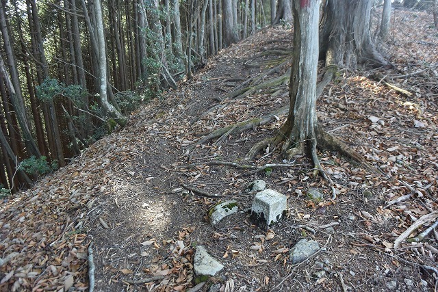 若御子山(730m)・大反山(854m)・矢岳(1358m)_b0341133_22270307.jpg