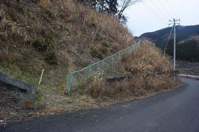 若御子山(730m)・大反山(854m)・矢岳(1358m)_b0341133_22275477.jpg