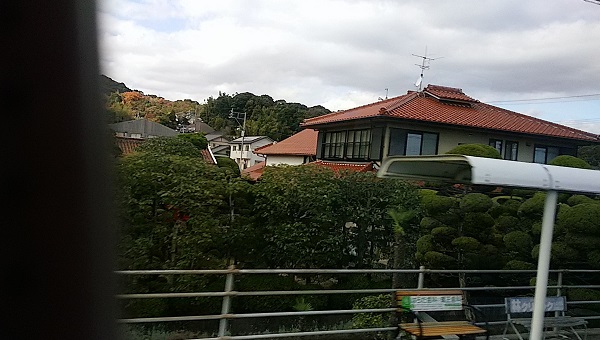 f0042737_11331411.jpg
