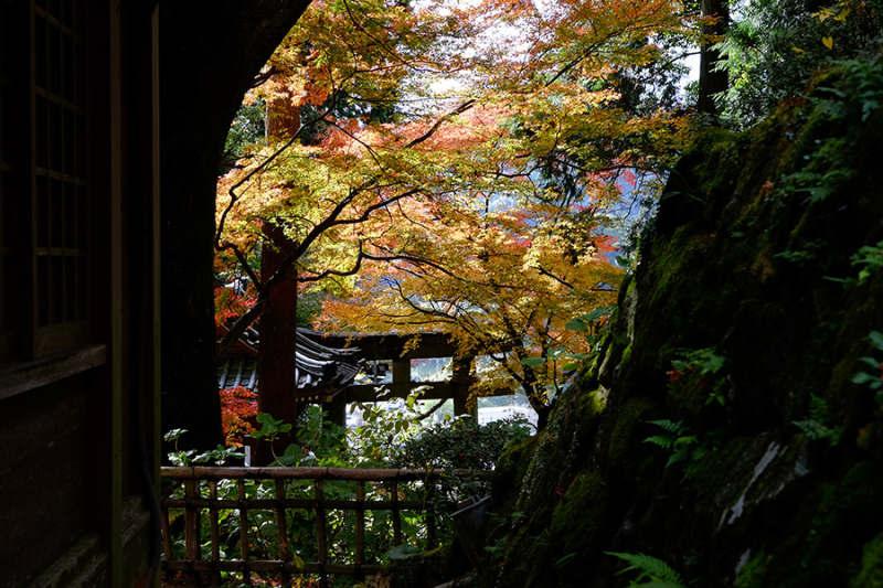 純さんと行く大興善寺の紅葉２（最終回）_c0014538_18400262.jpg