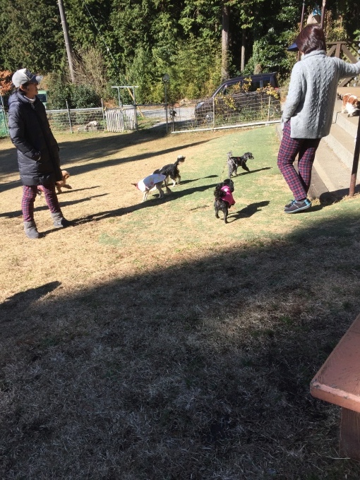 b0369239_15335540.jpeg