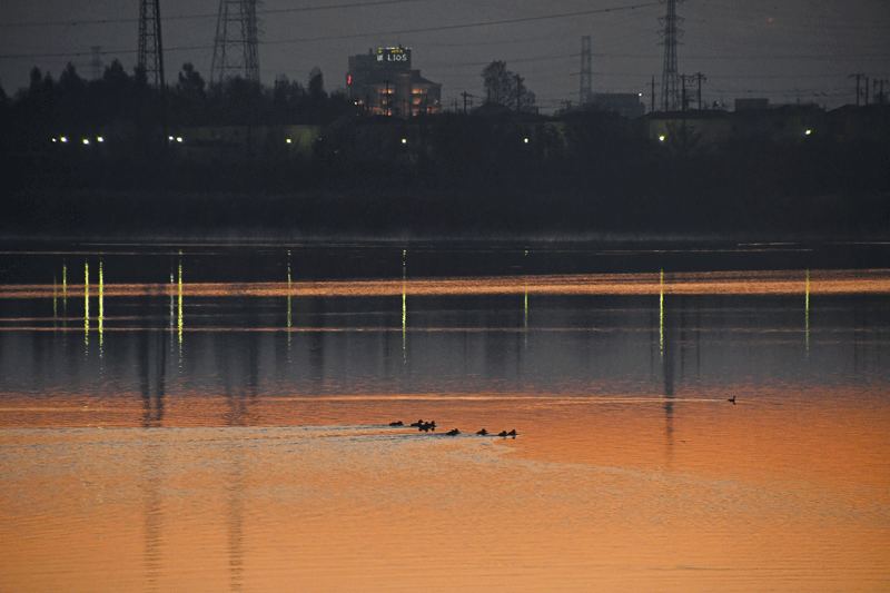 d0290240_14070827.gif