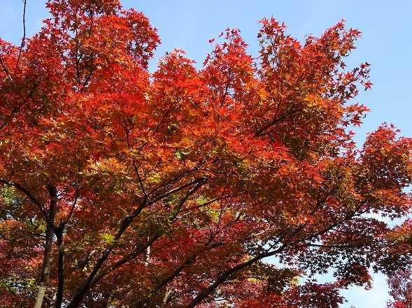 b0299042_10375585.jpg
