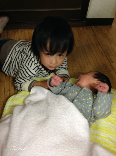 リノベーション完成3_f0377243_18580990.jpeg