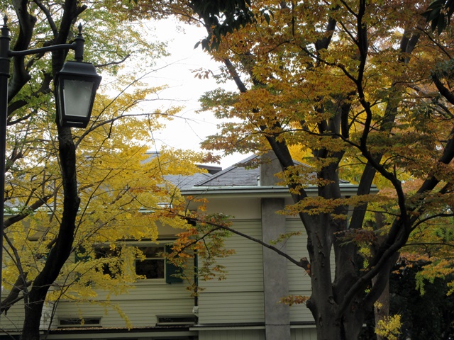 b0009849_20151279.jpg