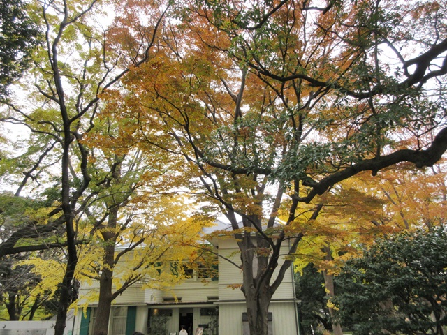 b0009849_2015196.jpg