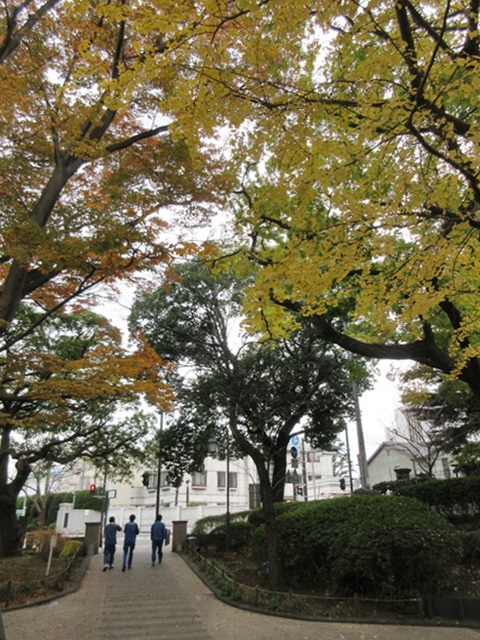 b0009849_20203695.jpg