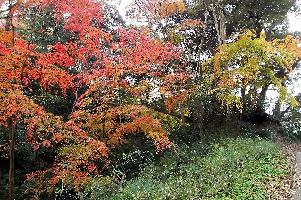 b0236251_14212886.jpg