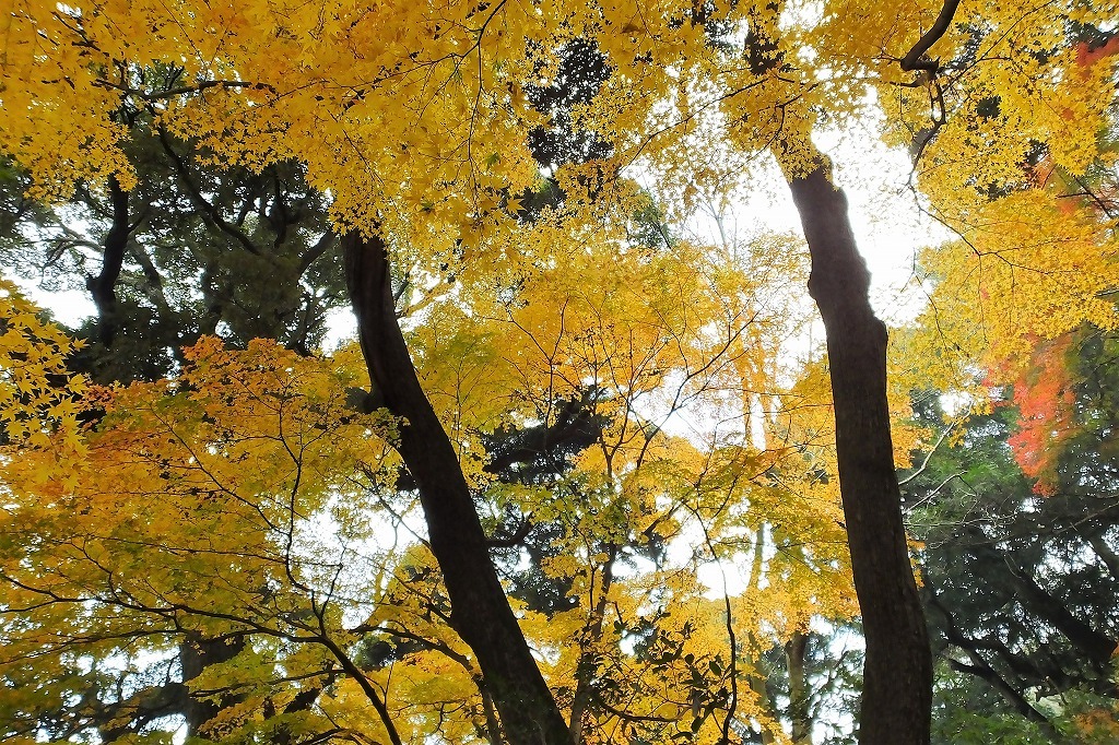 b0236251_14244173.jpg