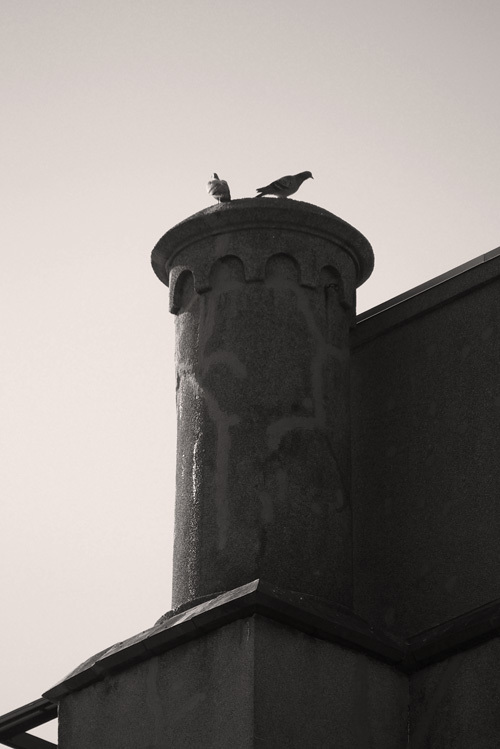c0181552_14020901.jpg