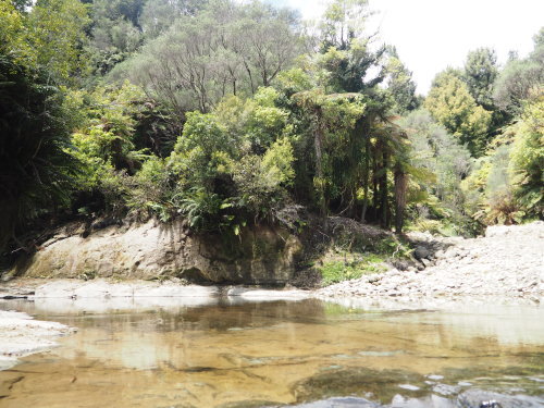 c0351060_19502139.jpg