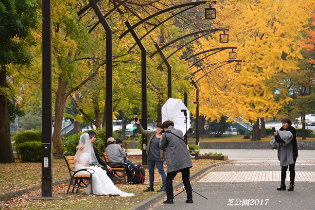 知る人ぞ知る 撮影スポット 写愛館