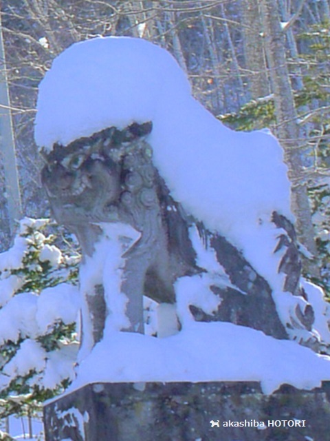 f0150377_21041885.jpg