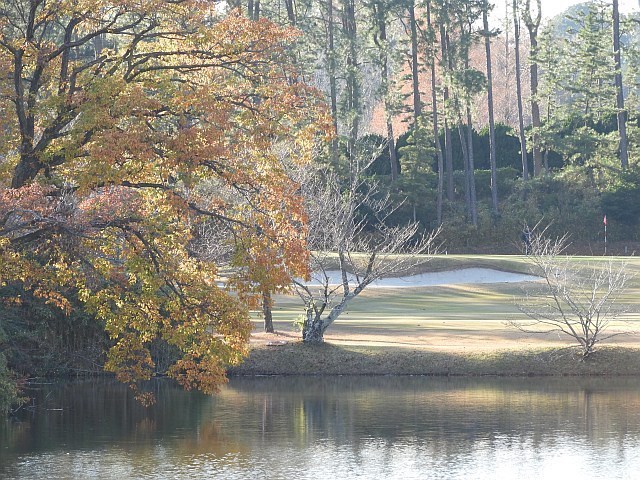 f0378979_16243254.jpg