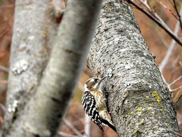 f0378979_16304831.jpg