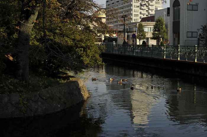 a0248182_03434952.jpg