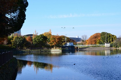 c0229483_2133336.jpg