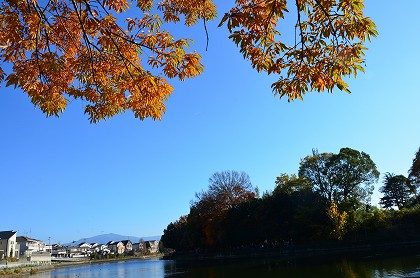 c0229483_21333666.jpg