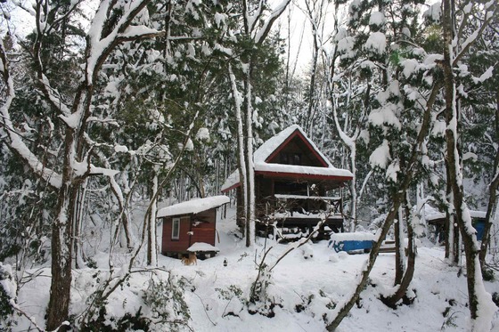 大雪（１２・７～１２・２２）のころ、宮迫で咲く花_e0373688_15324950.jpg