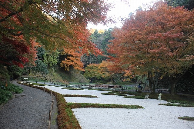 f0374092_23013994.jpg