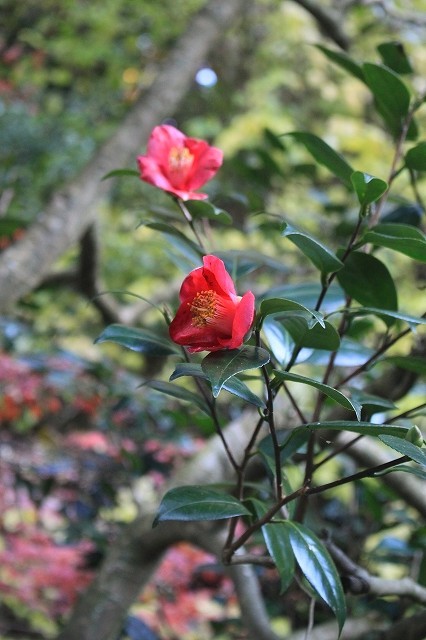 f0374092_23033989.jpg