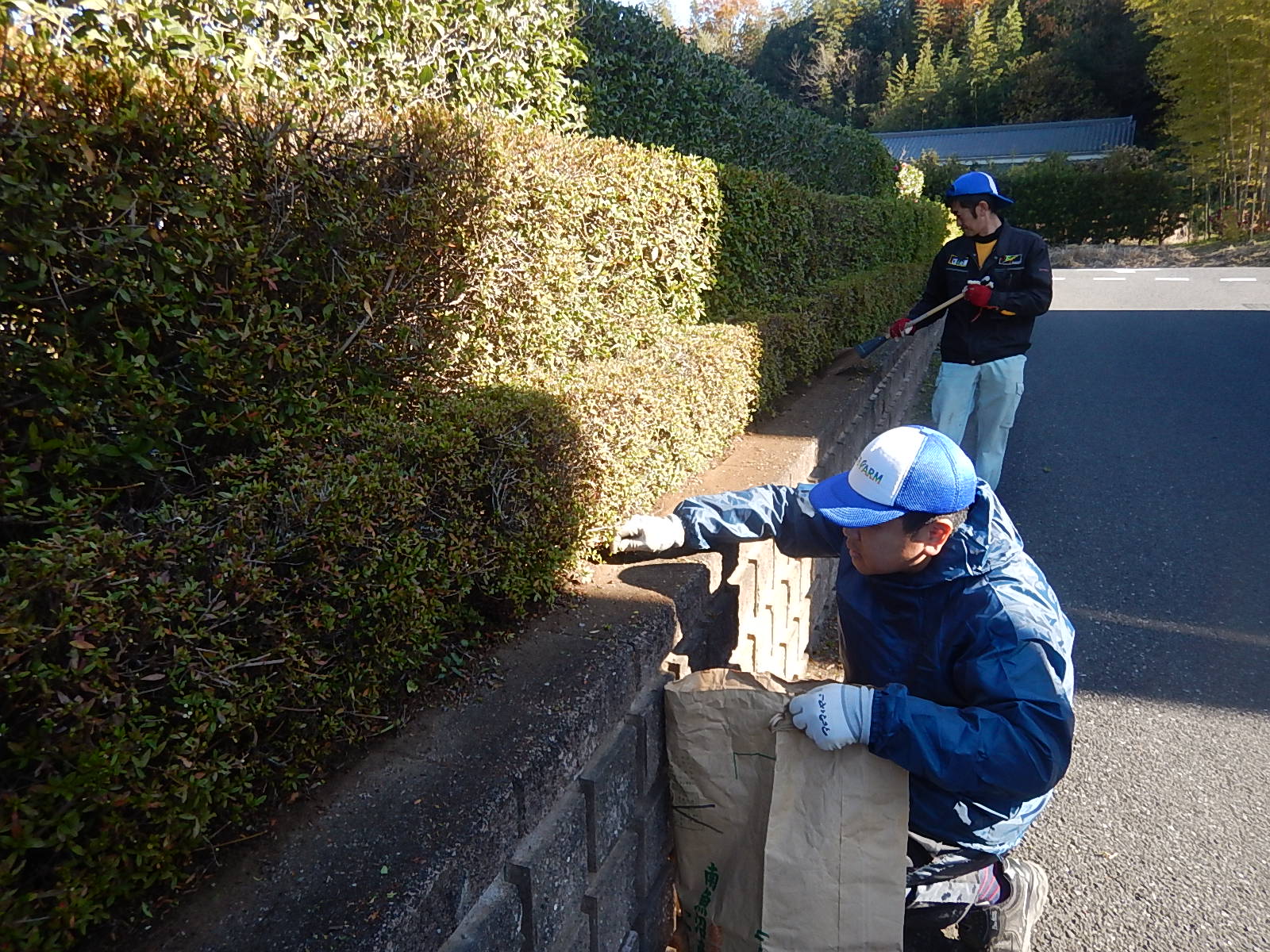 共同墓地の掃除と除草・農福連携ネギ農家さんほか_e0270198_17101631.jpg