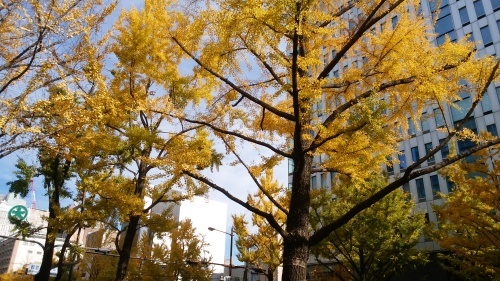 a0190999_20581266.jpg