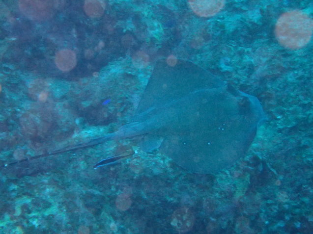 e0115199_18364968.jpg