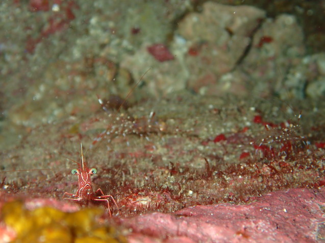 e0115199_18372585.jpg