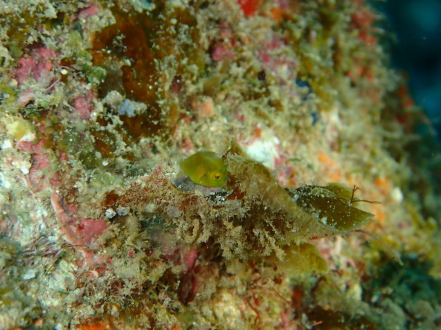 e0115199_18402157.jpg