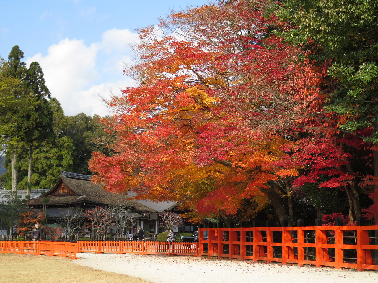 京都上賀茂神社の紅葉_c0346100_16474444.jpg